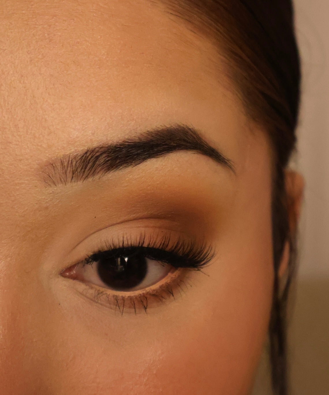 HALF LASH COLLECTION