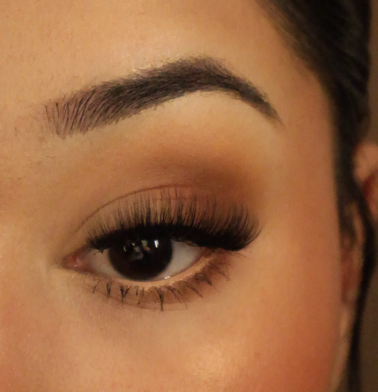 FLUFFY & WISPY EYELASH COLLECTION