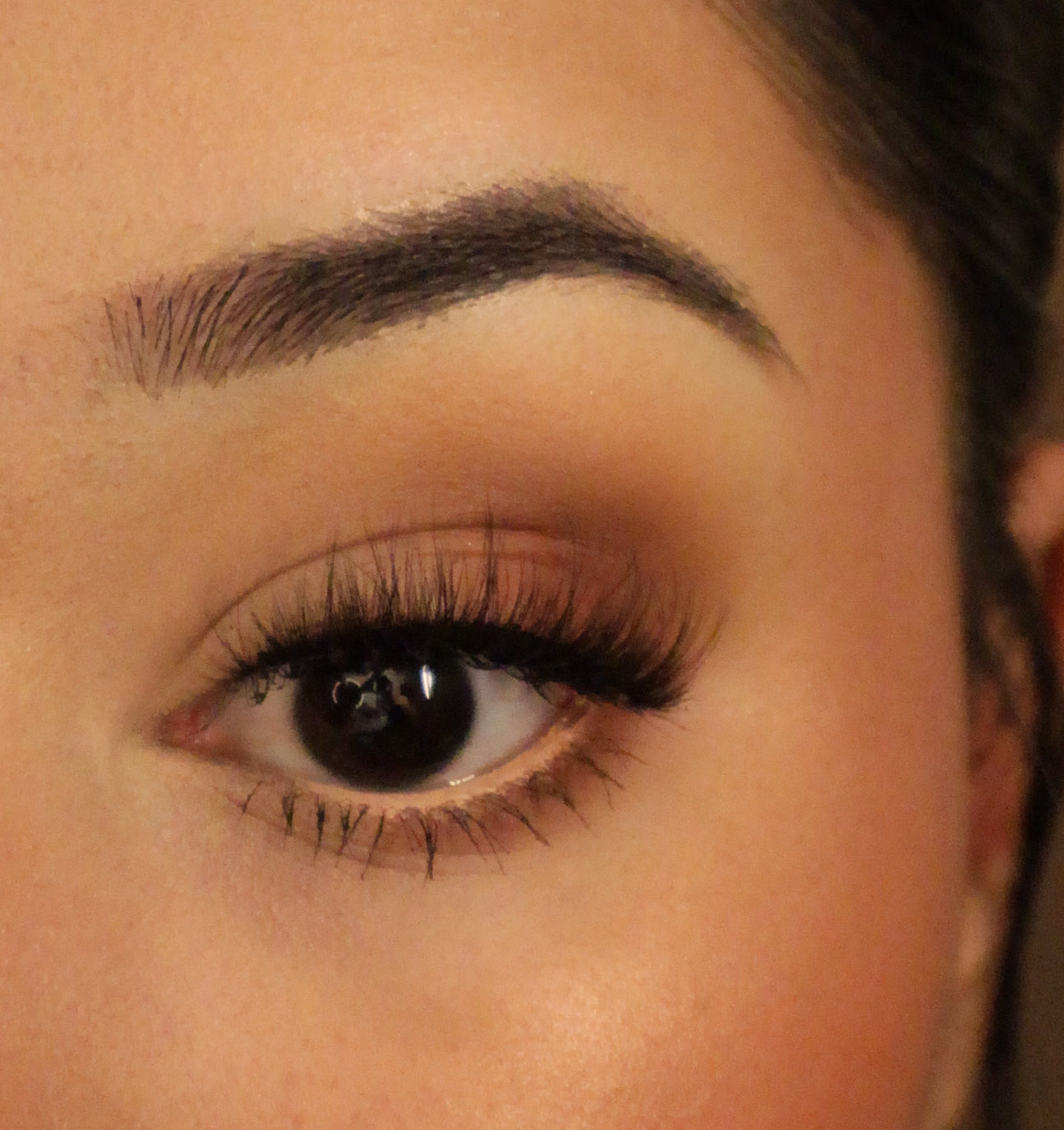 FLUFFY & WISPY EYELASH COLLECTION