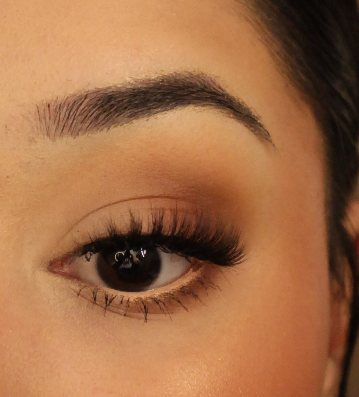 FLUFFY & WISPY EYELASH COLLECTION